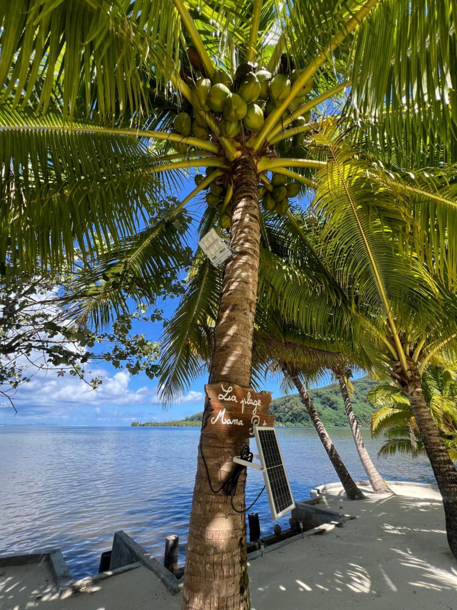 Villa Fare Mama Rota - Au Bord De L'Ocean Taputapuapea Exterior foto